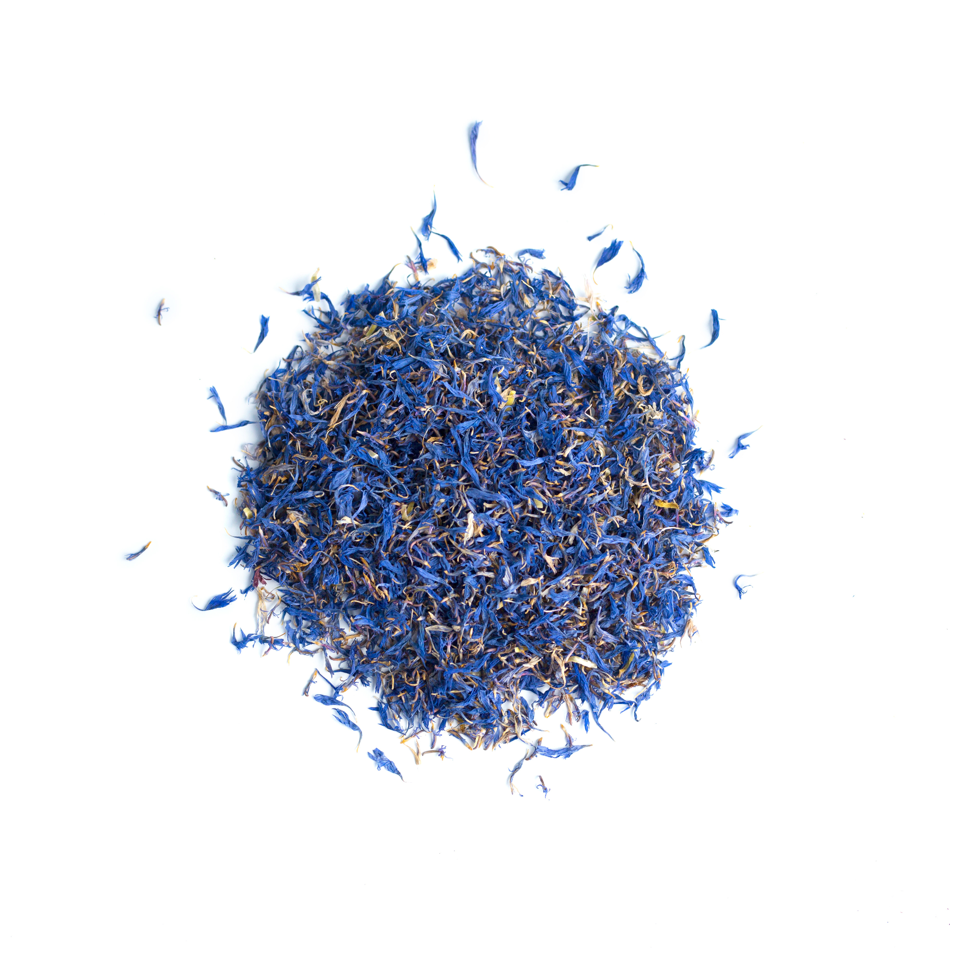Aciano Azul